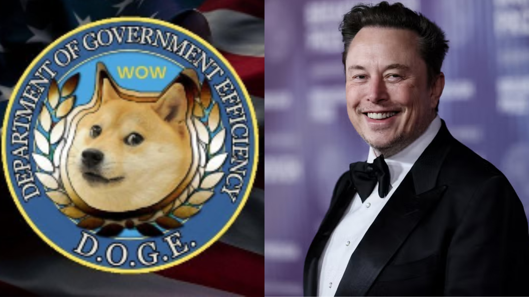 In Just 48 Hours: Elon Musk's DOGE Terminated 62 Contracts Worth $182Mn, Including $168,000 Contract for Antony Fauci Exihibit.