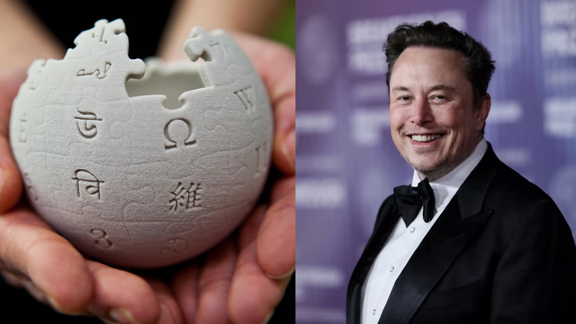 Elon Musk's $1Bn Offer To Wikipedia Still Stands; Come On, Let's Change Wikipedia Into D***pedia.