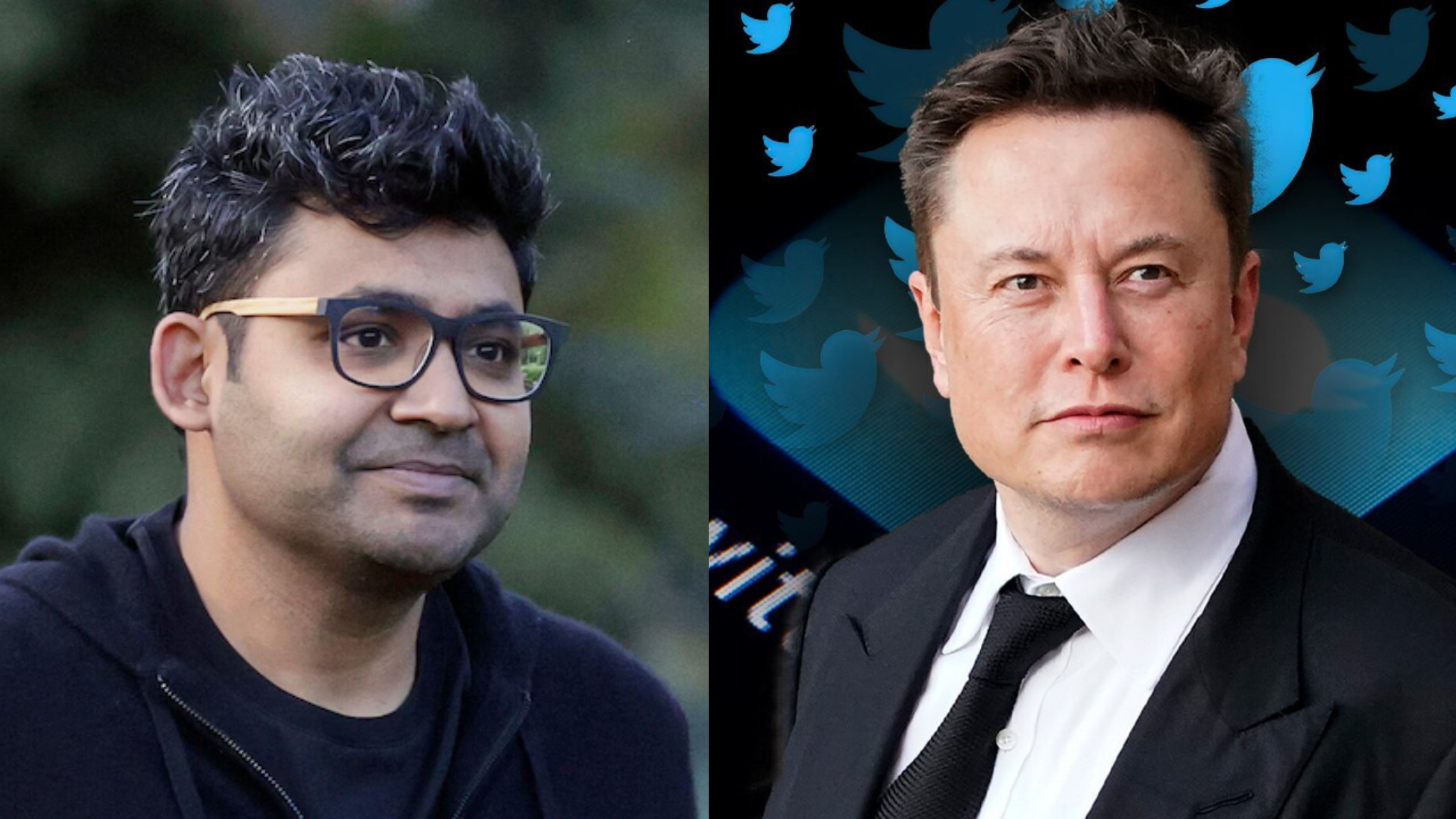 DOGE Head Elon Musk Roasted X's Former CEO Parag Agrawal, Responding to a Post On Twitter.